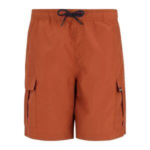 Regatta Mens Blanmont Swim Shorts / Brick